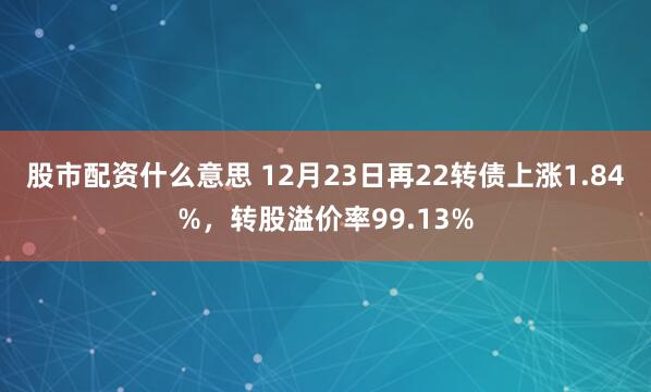 股市配资什么意思 12月23日再22转债上涨1.84%，转股溢价率99.13%