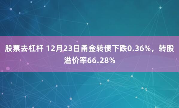 股票去杠杆 12月23日甬金转债下跌0.36%，转股溢价率66.28%