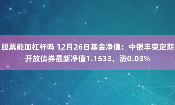 股票能加杠杆吗 12月26日基金净值：中银丰荣定期开放债券最新净值1.1533，涨0.03%