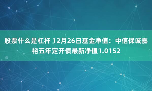 股票什么是杠杆 12月26日基金净值：中信保诚嘉裕五年定开债最新净值1.0152