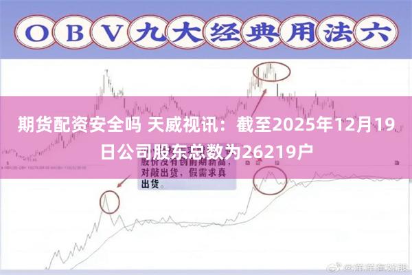 期货配资安全吗 天威视讯：截至2025年12月19日公司股东总数为26219户